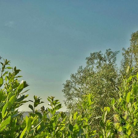 Gelsomino B&B Ispica Bagian luar foto
