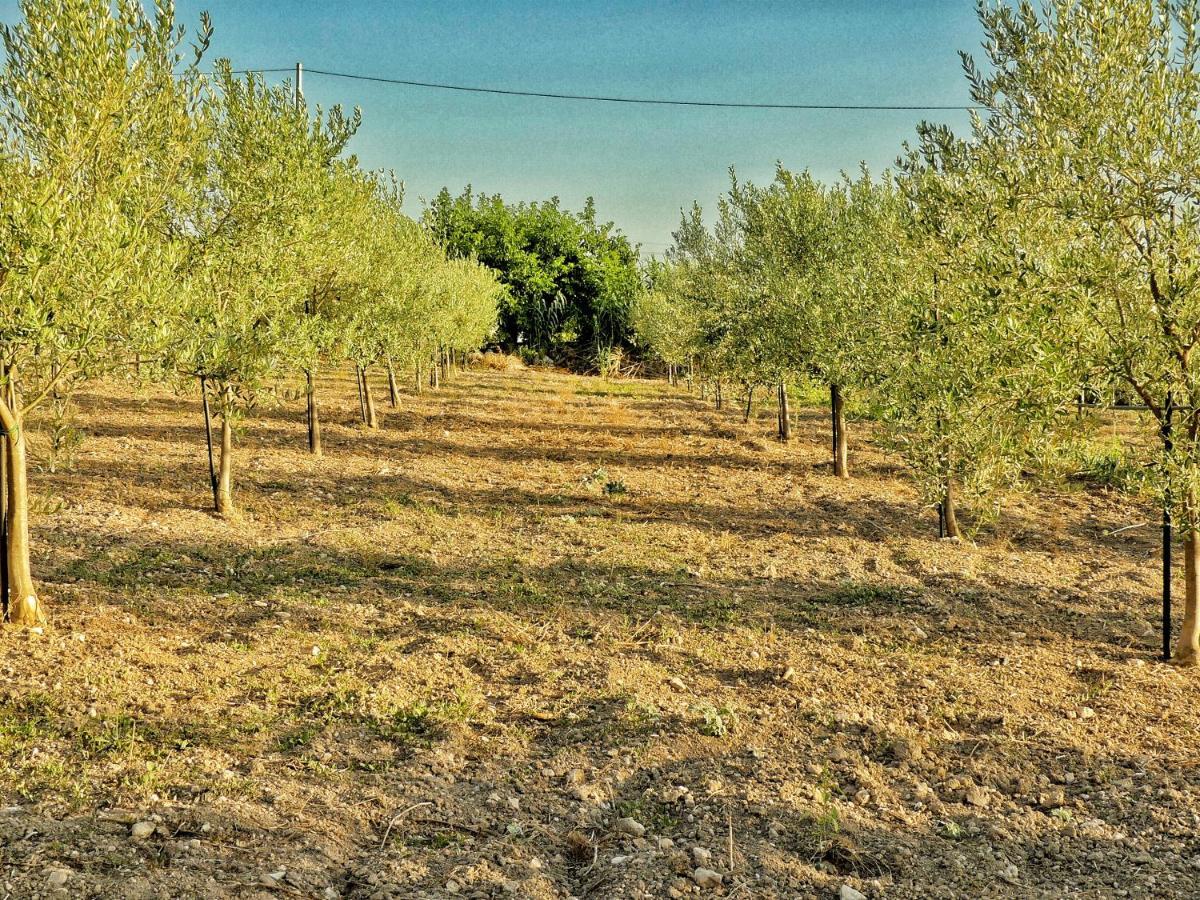 Gelsomino B&B Ispica Bagian luar foto